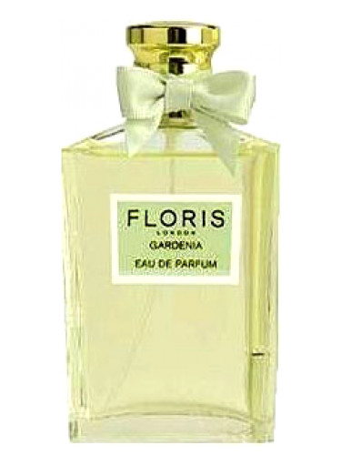 Gardenia Floris