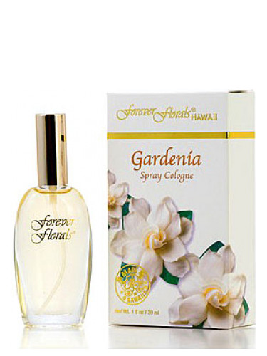 Gardenia Forever Florals Hawaii