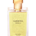 Image for Gardenia Tropical Paul Emilien