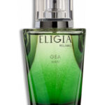 Image for Gea Man Eligia