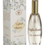 Image for Giglio Bianco Amerigo