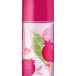 Image for Green Tea Pomegranate Elizabeth Arden