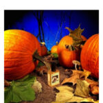 Image for Gunnerson’s Pumpkin Patch Solstice Scents