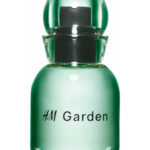 Image for H&M Garden – Sunlit dew H&M