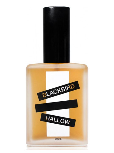 Hallow Blackbird