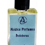 Image for Helleborus Acidica Perfumes