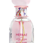 Image for Herbae Clary Sage L’Occitane en Provence