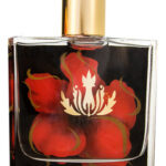 Image for Hibiscus Malie Organic