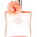 Image for Hidden Love American Eagle