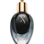 Image for Homme Perfume Extract Xerjoff