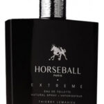 Image for Horseball Extreme Horseball