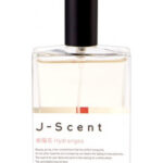 Image for Hydrangea J-Scent