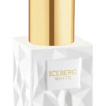 Image for Iceberg White Iceberg