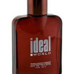 Image for Ideal World Judith