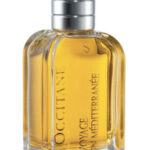 Image for Immortelle de Corse L’Occitane en Provence