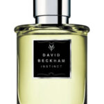 Image for Instinct David Beckham