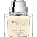 Image for Into The White The Different Company