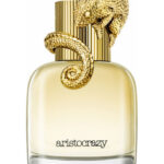 Image for Intuitive Aristocrazy