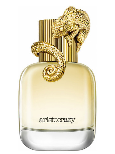 Intuitive Aristocrazy