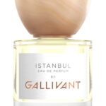 Image for Istanbul Gallivant