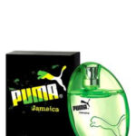 Image for Jamaica Man Puma