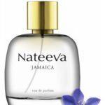 Image for Jamaica Nateeva