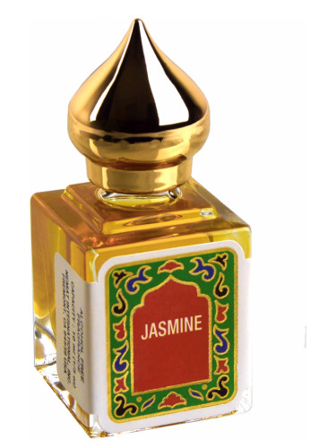 Jasmine Nemat International