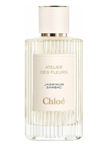 Jasminum Sambac Chloé