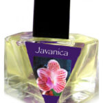 Image for Javanica Olympic Orchids Artisan Perfumes