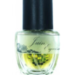 Image for Juin Esquisse Parfum