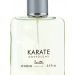 Image for Karate Dzintars