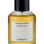 Image for Kashnoir Laboratorio Olfattivo