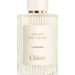 Image for Lavanda Chloé