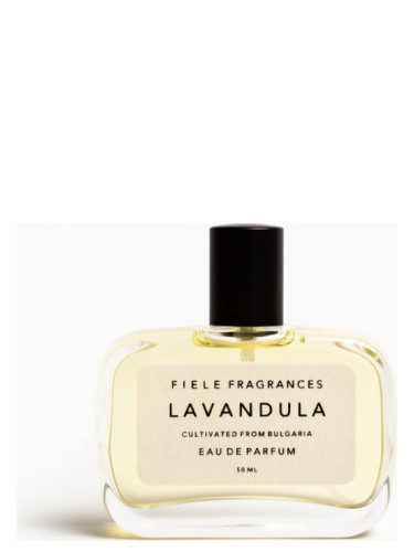 Lavandula Fiele Fragrances