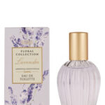 Image for Lavender Marks & Spencer