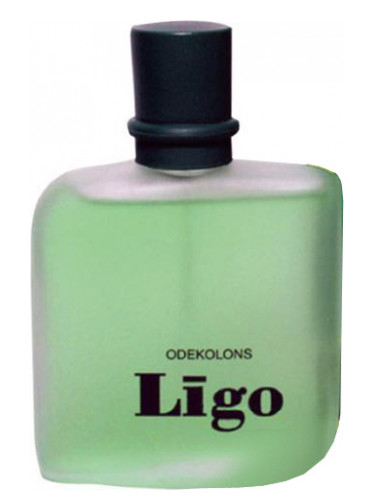 Līgo (Ligo) Dzintars