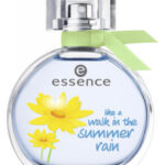 Image for Like a Walk in the Summer Rain essence