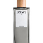 Image for Loewe 7 Anonimo Loewe