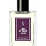 Image for Love At First Sight Une Nuit Nomade