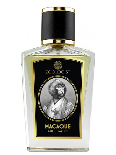 Macaque Zoologist Perfumes
