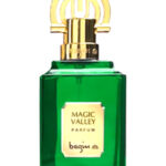 Image for Magic Valley Begim
