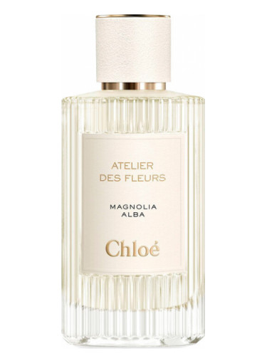 Magnolia Alba Chloé