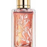 Image for Magnolia Rosae Lancôme