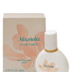 Image for Magnolia Yves Rocher