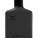 Image for Man Silver Zara