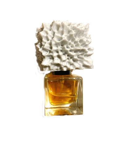 Masae Aida no Tebukuro Phronema Perfumes