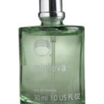 Image for Minteva The Body Shop