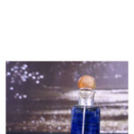 Image for Minuit DSH Perfumes