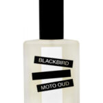 Image for Moto Oud Blackbird