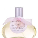 Image for Musc Rose Place des Lices